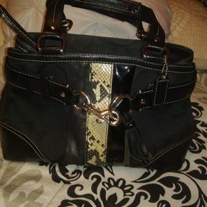 AUTHENTIC COACH, CARRIED ONCE! DOLLS 😘